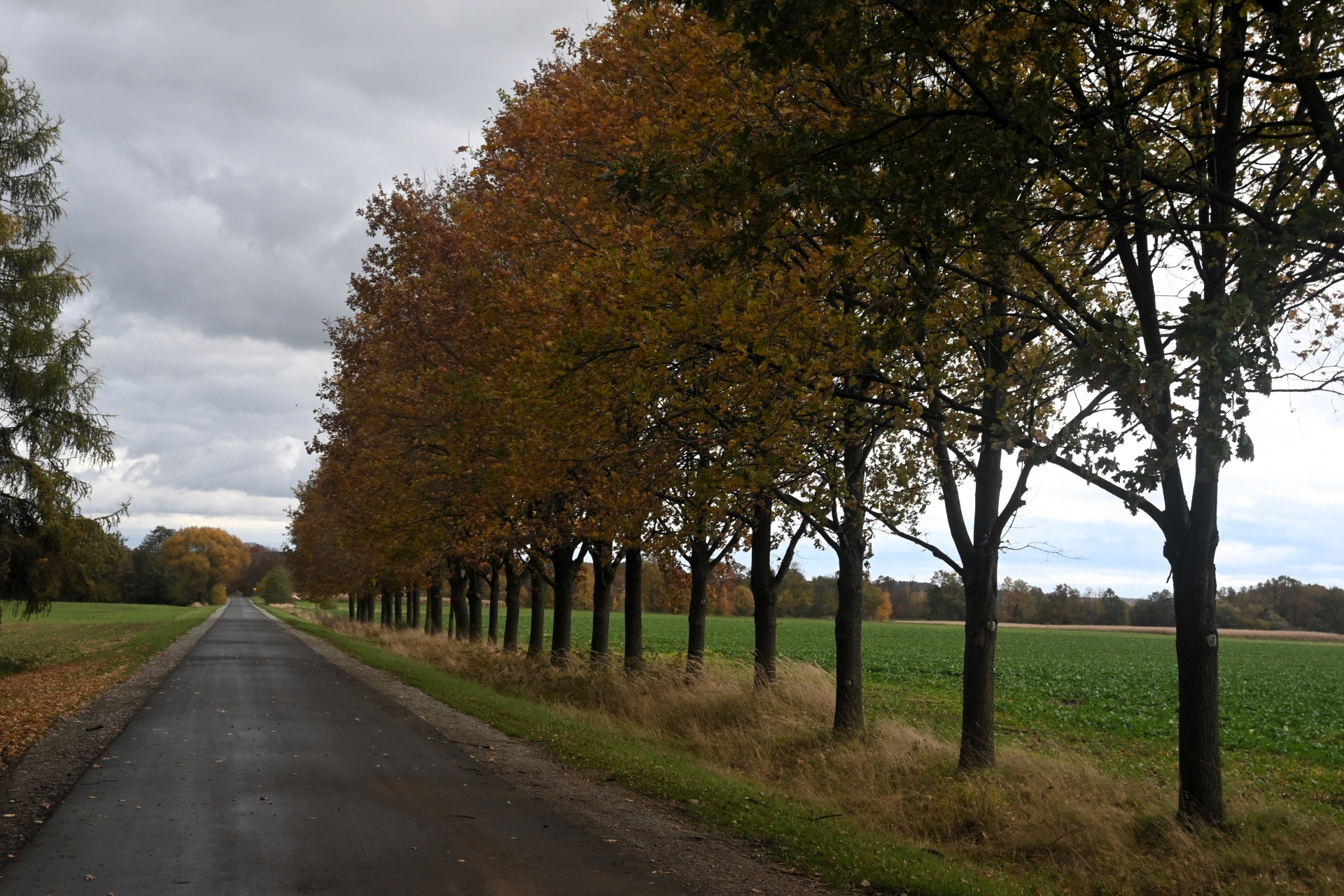Zdjęcie do artykułu: Droga po remoncie i przebudowie! 